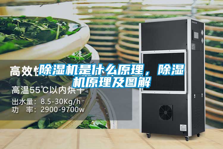 除湿机是什么原理，除湿机原理及图解