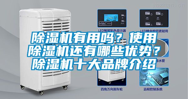 除湿机有用吗？使用除湿机还有哪些优势？除湿机十大品牌介绍