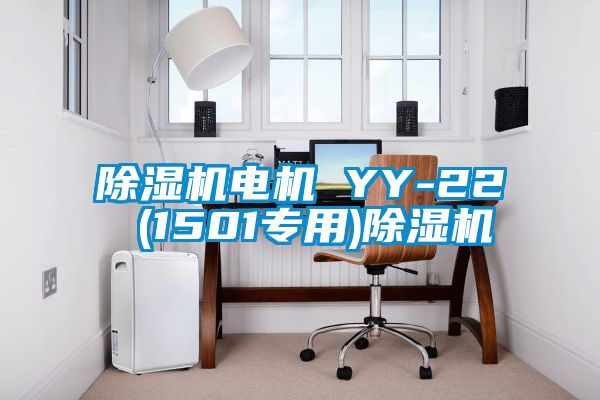 除湿机电机 YY-22 (1501专用)除湿机