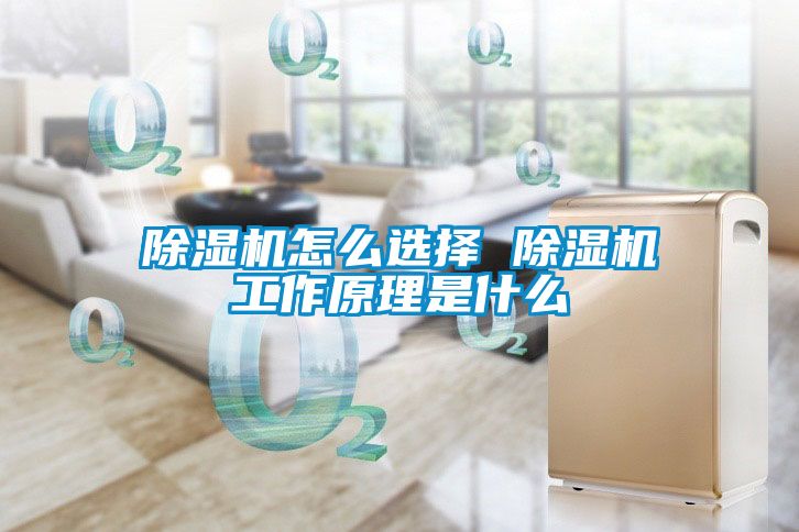 除湿机怎么选择 除湿机工作原理是什么