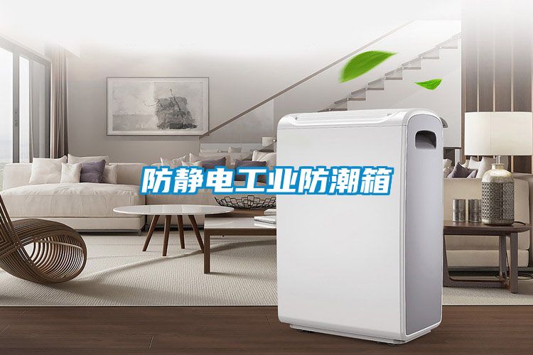 防静电工业防潮箱