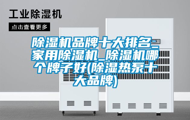 除湿机品牌十大排名_家用除湿机_除湿机哪个牌子好(除湿热泵十大品牌)