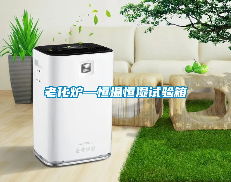 老化炉—恒温恒湿试验箱