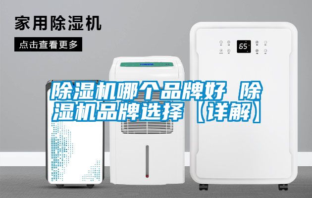 除湿机哪个品牌好 除湿机品牌选择【详解】