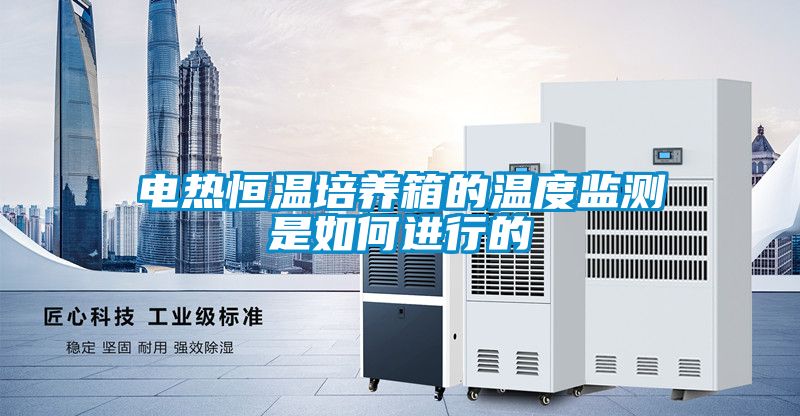 电热恒温培养箱的温度监测是如何进行的