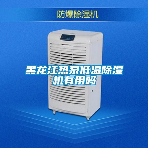 黑龙江热泵低温除湿机有用吗