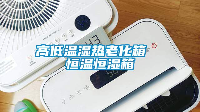 高低温湿热老化箱  恒温恒湿箱