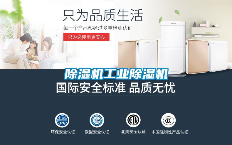 除湿机工业除湿机
