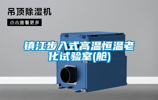 镇江步入式高温恒温老化试验室(舱)