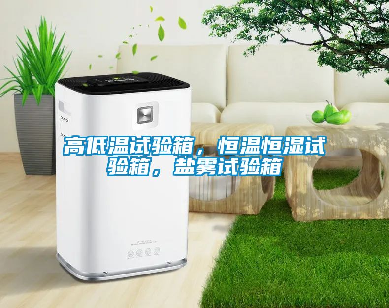 高低温试验箱，恒温恒湿试验箱，盐雾试验箱