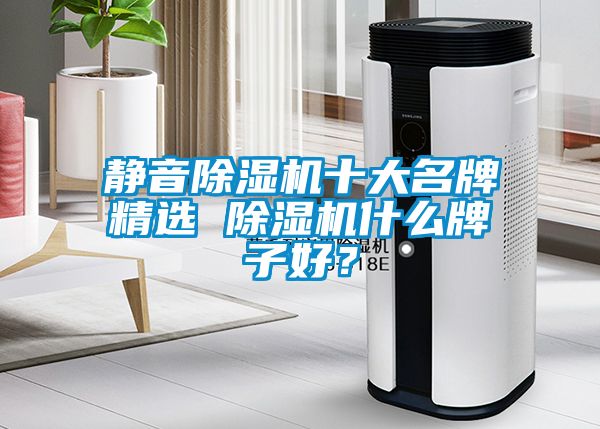 静音除湿机十大名牌精选 除湿机什么牌子好？