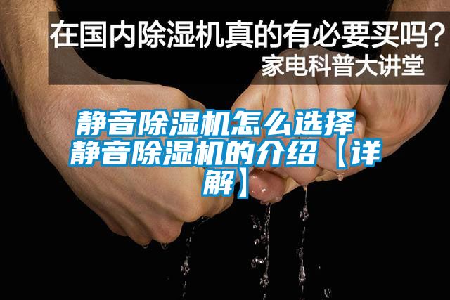 静音除湿机怎么选择 静音除湿机的介绍【详解】