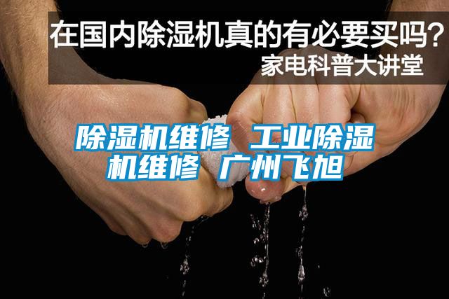 除湿机维修 工业除湿机维修 广州飞旭