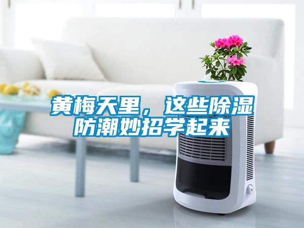 黄梅天里，这些除湿防潮妙招学起来