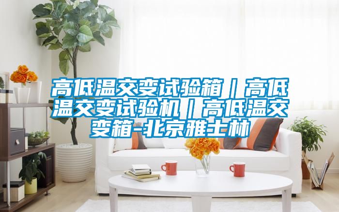 高低温交变试验箱｜高低温交变试验机｜高低温交变箱-北京雅士林
