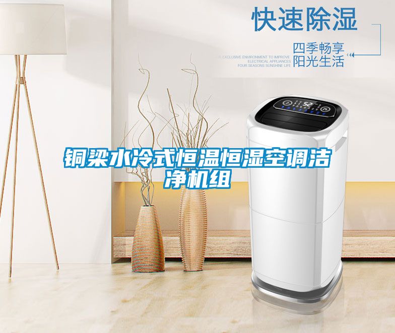 铜梁水冷式恒温恒湿空调洁净机组