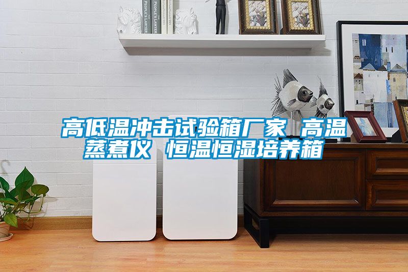 高低温冲击试验箱厂家 高温蒸煮仪 恒温恒湿培养箱