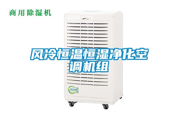 风冷恒温恒湿净化空调机组