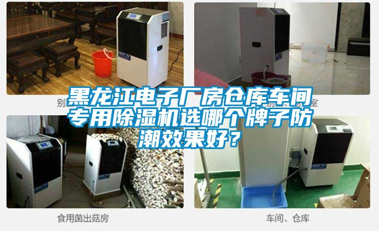 黑龙江电子厂房仓库车间专用除湿机选哪个牌子防潮效果好？