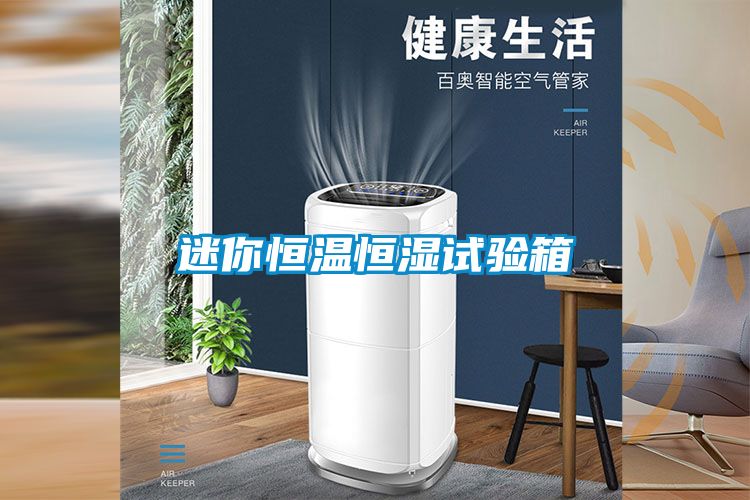 迷你恒温恒湿试验箱