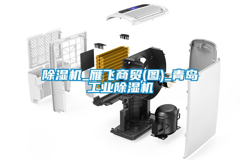 除湿机_雁飞商贸(图)_青岛工业除湿机