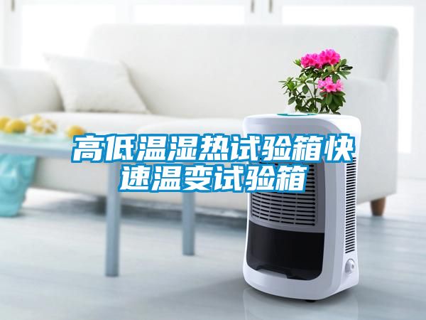 高低温湿热试验箱快速温变试验箱