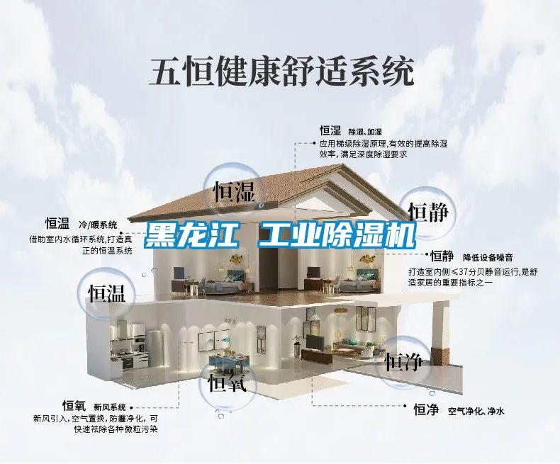 黑龙江 工业除湿机