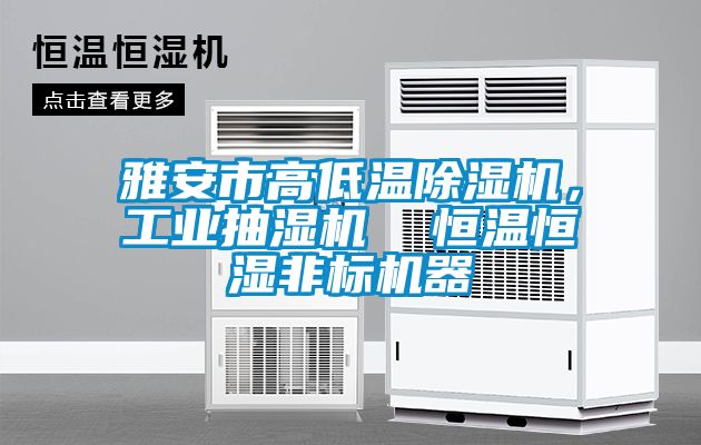 雅安市高低温除湿机，工业抽湿机  恒温恒湿非标机器