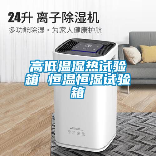 高低温湿热试验箱 恒温恒湿试验箱