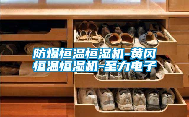 防爆恒温恒湿机-黄冈恒温恒湿机-至力电子