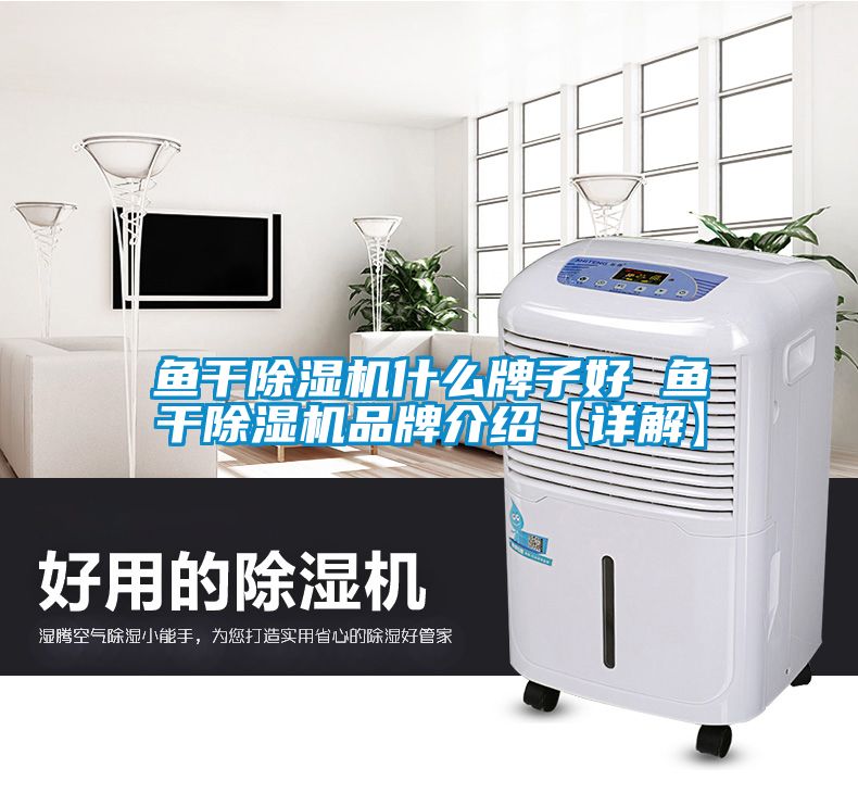 鱼干除湿机什么牌子好 鱼干除湿机品牌介绍【详解】