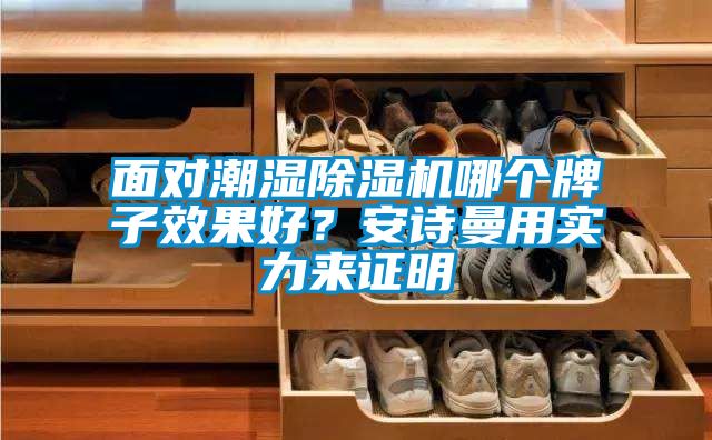 面对潮湿除湿机哪个牌子效果好？安诗曼用实力来证明