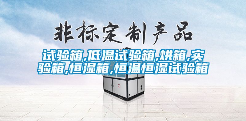 试验箱,低温试验箱,烘箱,实验箱,恒湿箱,恒温恒湿试验箱