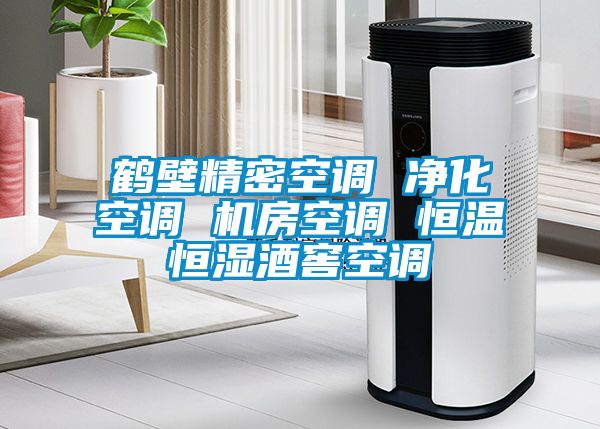 鹤壁精密空调 净化空调 机房空调 恒温恒湿酒窖空调