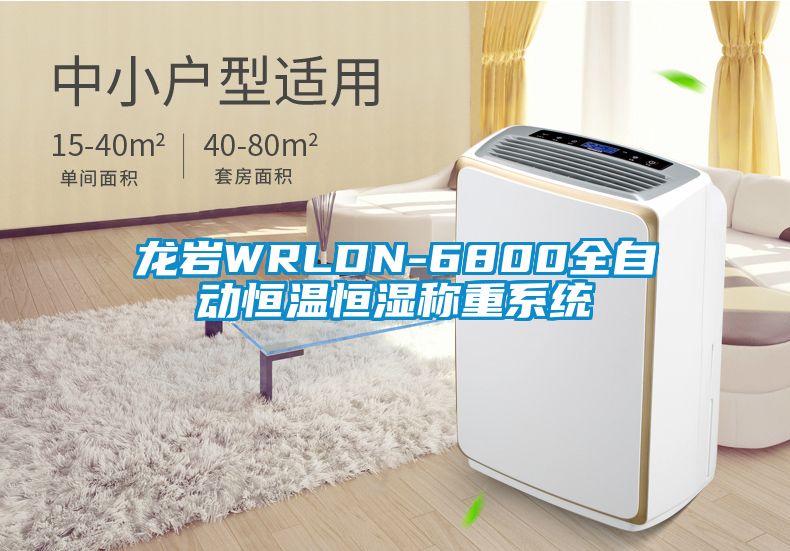 龙岩WRLDN-6800全自动恒温恒湿称重系统